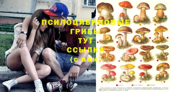 apvp Майский